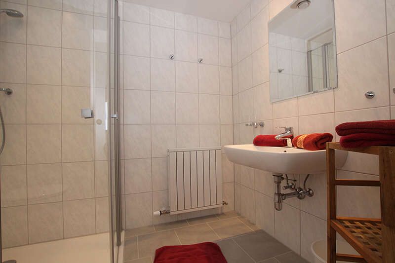 Badezimmer mit Dusche im Appartement Blumenwiese im Haus Martina in Tirol